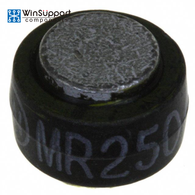 MR2510 P1